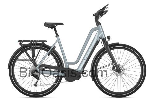 Gazelle Chamonix T10 HMS ficha técnica y opiniones